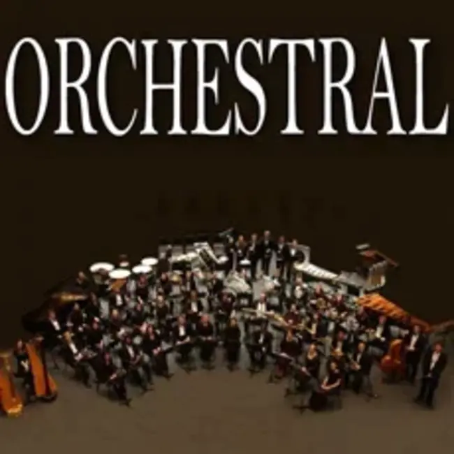 Orchestral Model : 管弦乐模型