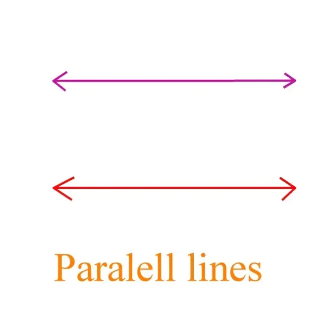 Parallel Track Path : 平行轨道