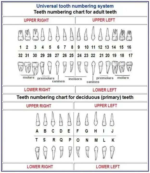 Universal Product Identification : 通用产品标识