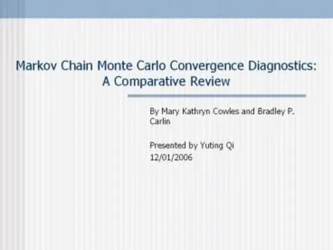 Transport Convergence : 传输收敛