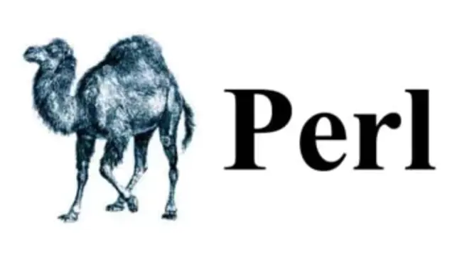 Perl Library : Perl库