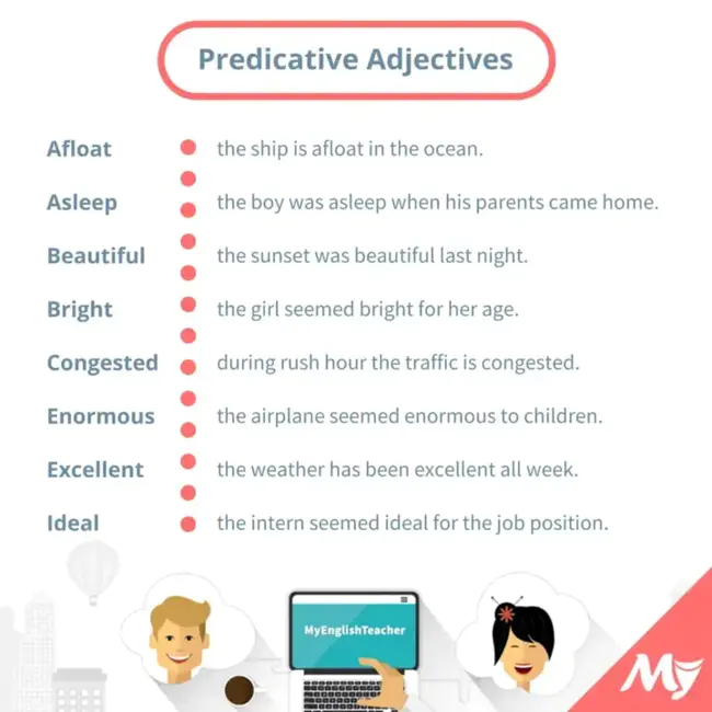 Predicative Determiner Phrase : 预测限定词短语