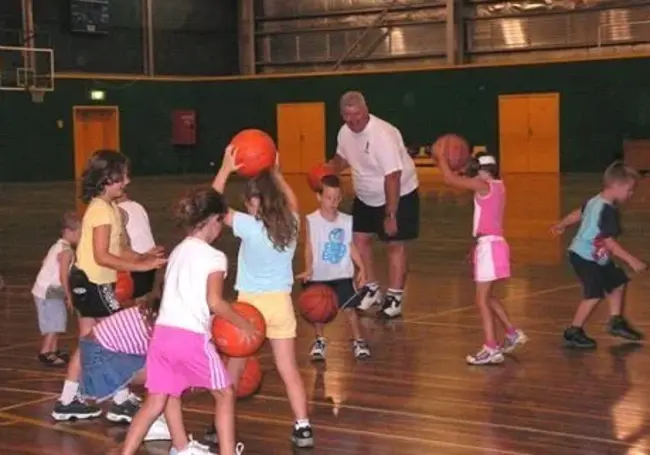 Northeastern Conference Senior Basketball League : 东北会议高级篮球联赛