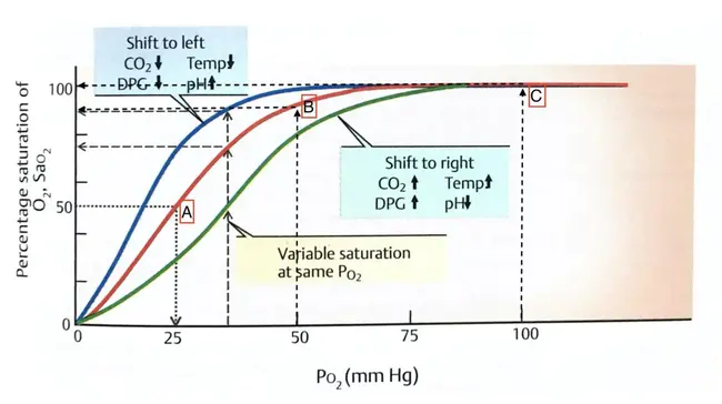 Oxygen Depletion Sensor : 缺氧传感器