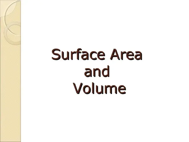 Surface Wave : 表面波