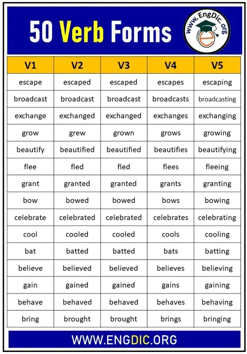 Verb Form : 动词形式