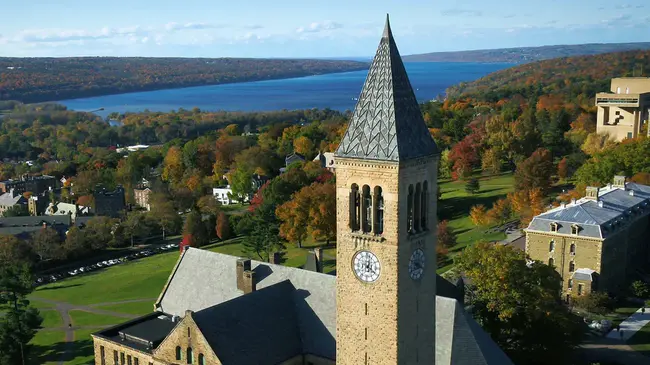 Cornell University : 康奈尔大学