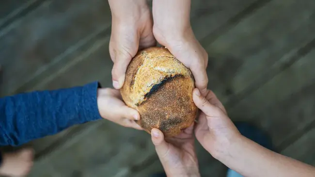 Hunger Assistance : 饥饿援助