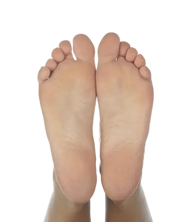 Feet Per Second : 每秒脚数