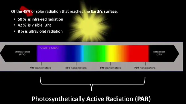 Photosynthetically Active Radiation : 光合有效辐射