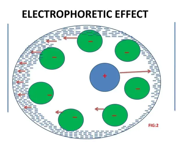 Electrophoretic Diagnostic Saliva : 电泳诊断唾液