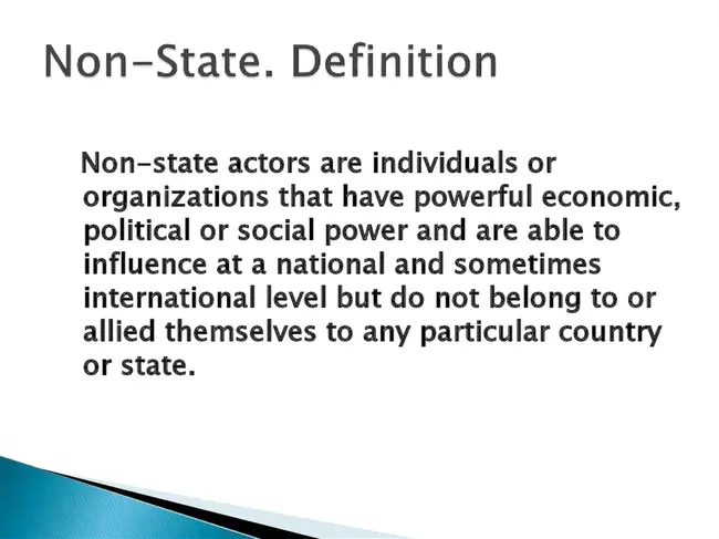 Non-State : 非国家
