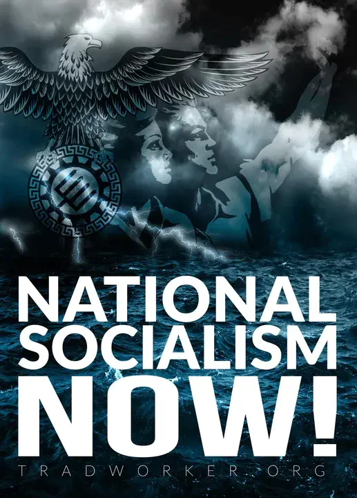 National Socialist Alliance : 全国社会主义联盟