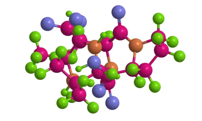 Biomolecular Sequence Analysis : 生物分子序列分析