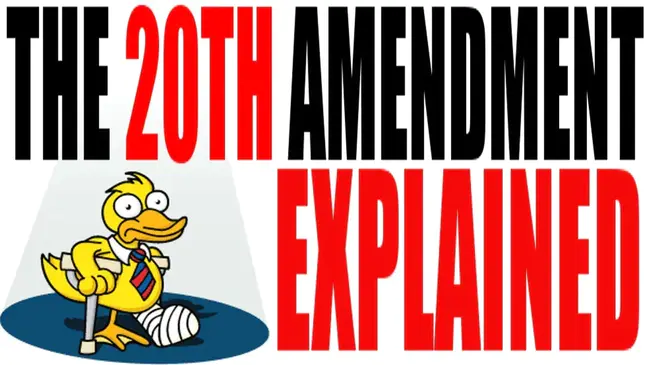 Enquiry Taxpayer Amendment : 查询纳税人修正案