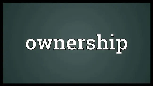 Ownership : 所有权