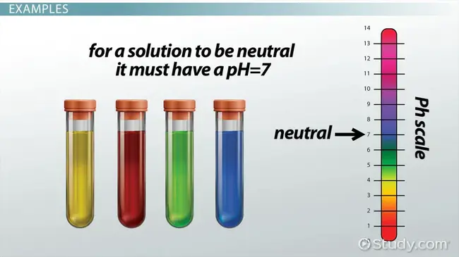 Neutral Sulfite Semi-Chemical : 中性亚硫酸盐半化学