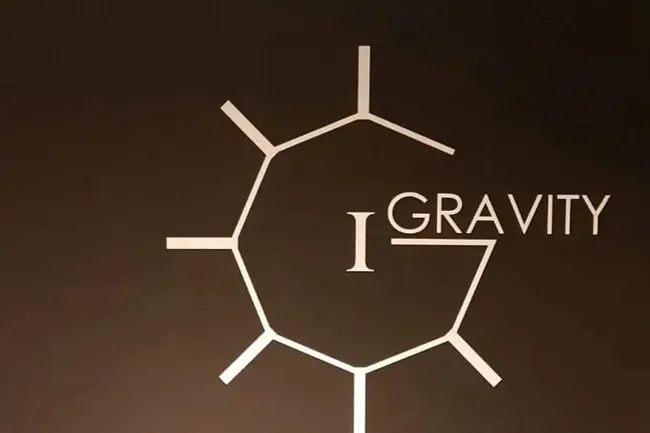 Original Gravity : 原始重力