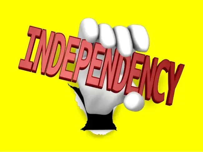 Independency Check : 独立性检查