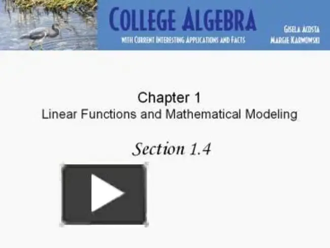 Positive Linear Combination : 正线性组合