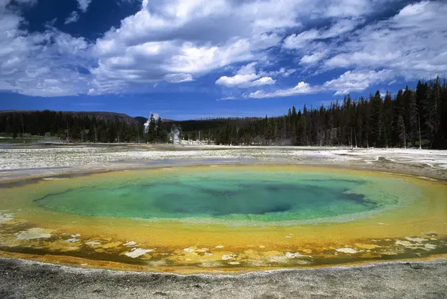 Yellowstone Ecosystem Studies : 黄石生态系统研究