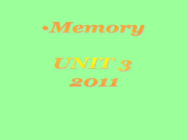 Memory Write : 内存写入
