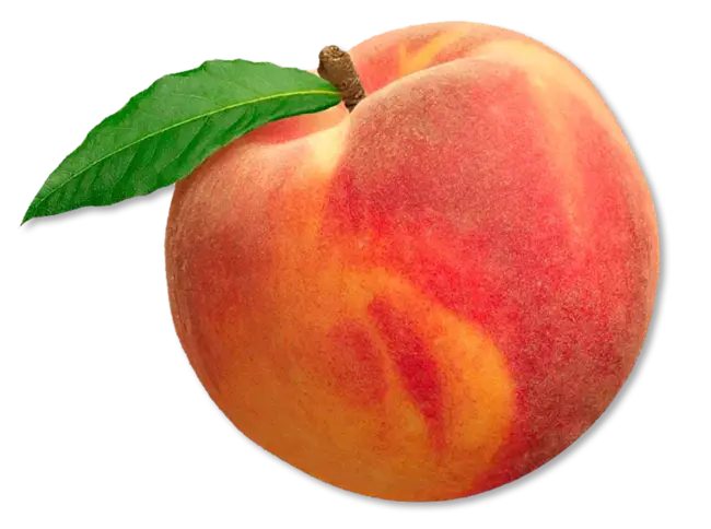 Peach State : 桃色州