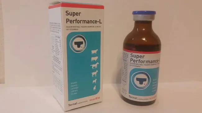 Performance Supplement : 性能补充