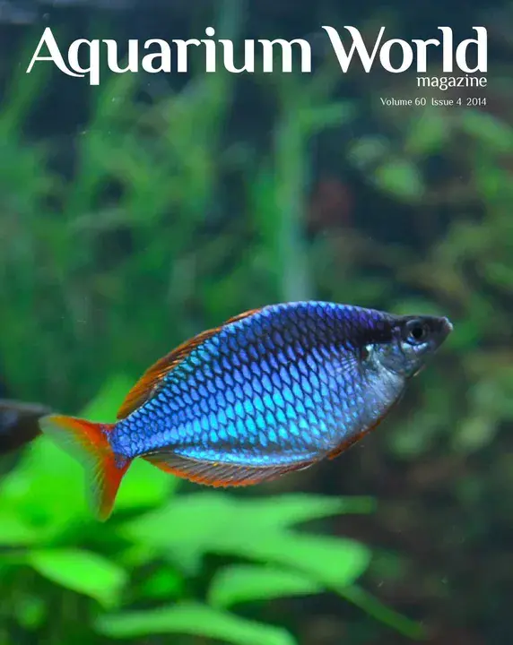 Aquarium Fish Magazine : 水族馆鱼类杂志