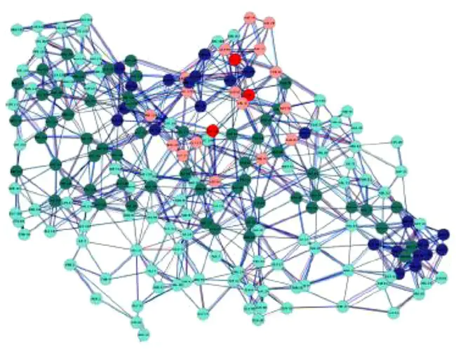 Network Protein Sequence : 网络蛋白质序列