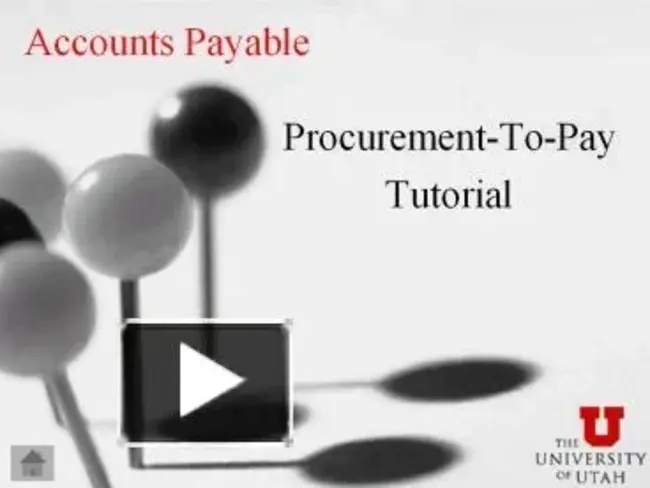 Accounts Payable Maintenance : 应付账款维护