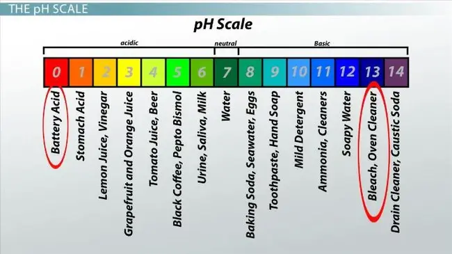 Neutral Protamine Hagedorn : 中性鱼精蛋白