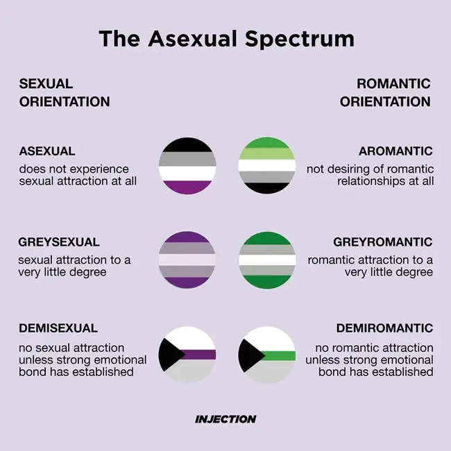Asexual Privacy Concrete : 无性隐私混凝土