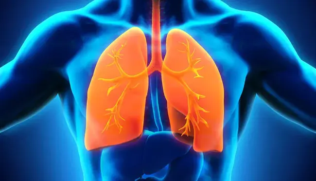 Respiratory Inductance Plethysmography : 呼吸电感体积描记法