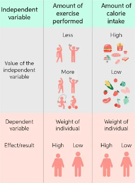 Independent Variable : 自变量