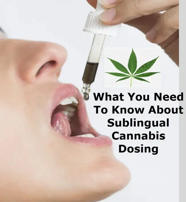 Sublingual Delivery System : 舌下输送系统