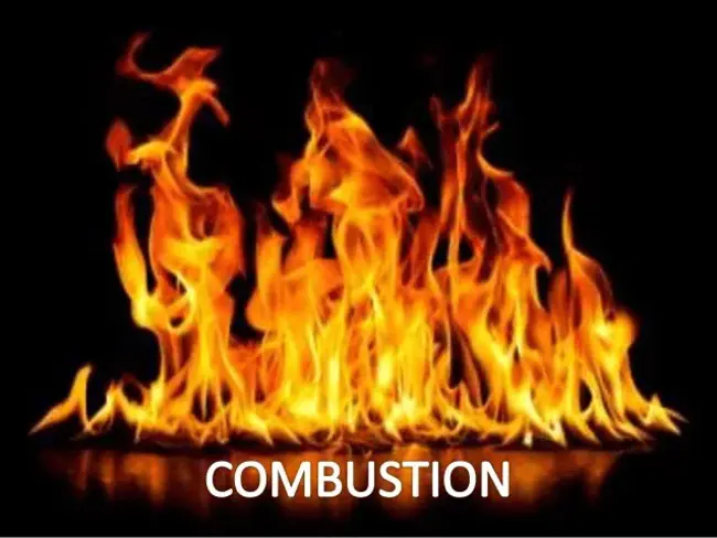 Combustion Coupled Gasification : 燃烧耦合气化