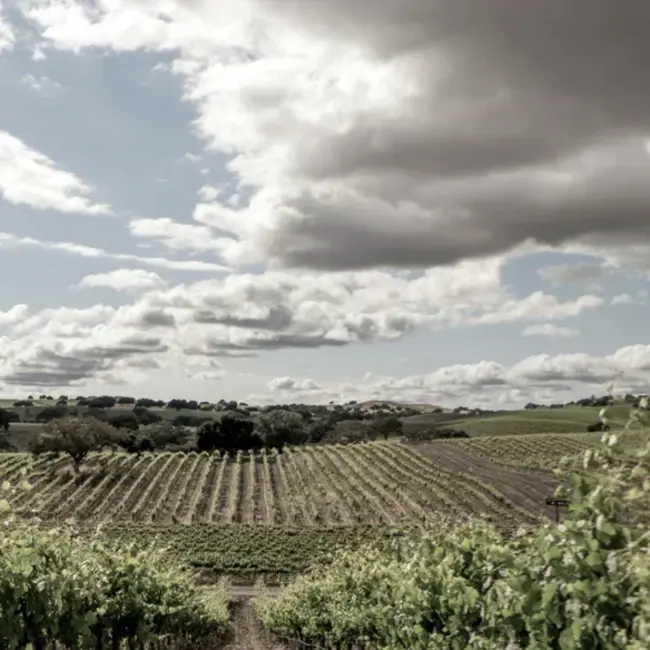 Wine Country Aquatics of Napa : 纳帕葡萄酒之乡