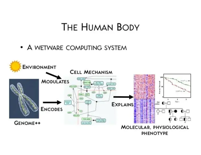 Computational Diagnostics Incorporated : 计算诊断合并