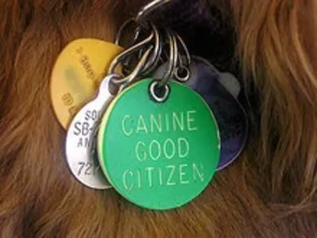 Canine Good Citizen : 犬界好公民