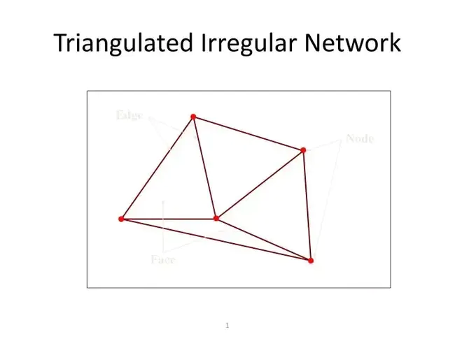 Triangulated Internal Network : 三角化内部网络