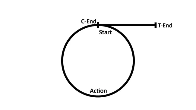 Cyclical Ketogenic Diet : 周期性生酮饮食