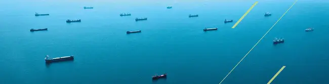 Courtesy Marine Examination : 礼貌的海事检查