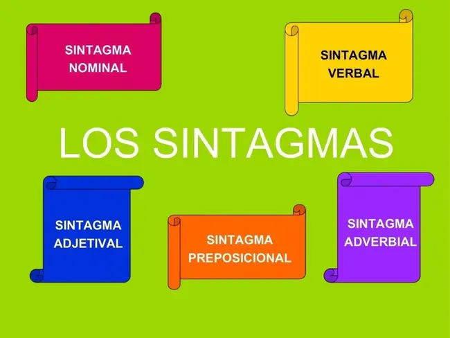 Sintagma Nominal : Sintagma标准