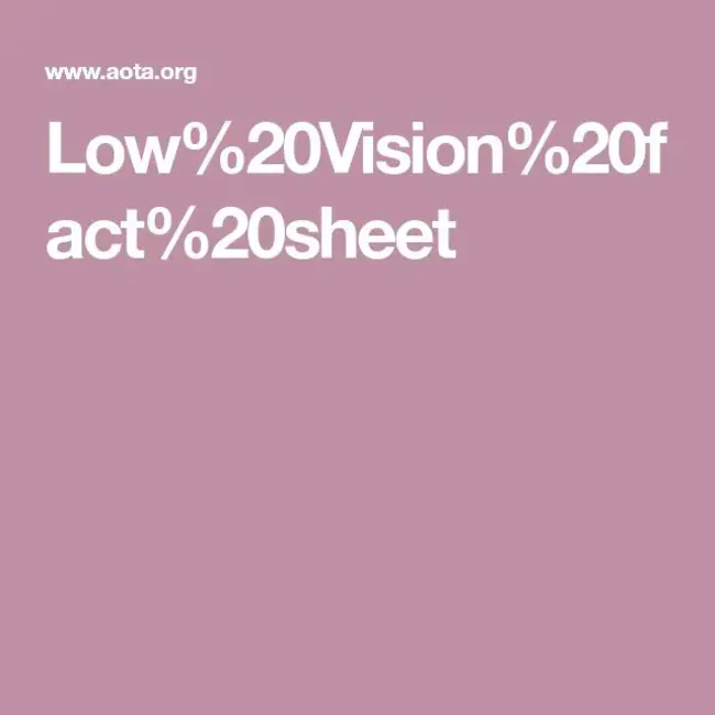 Low Vision : 低视力