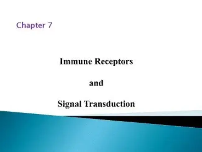 Code and Signal Publication : 代码和信号发布