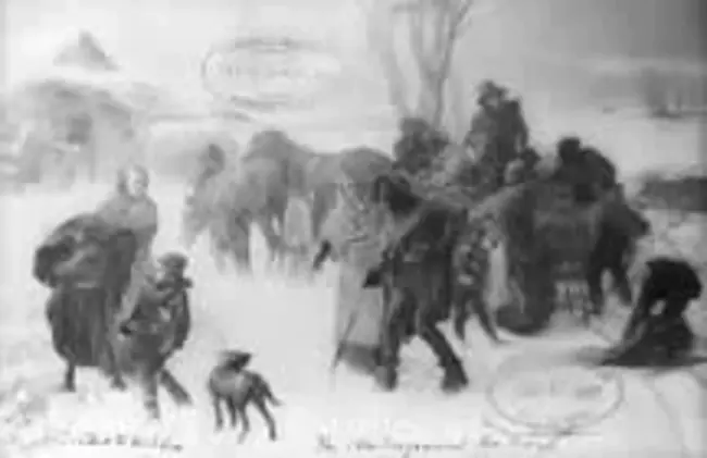Canine Underground Railroad : 犬科地下铁路