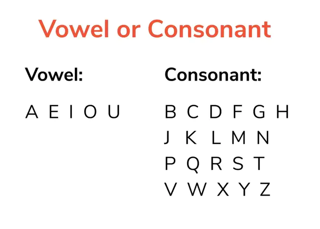 Consonant Vowel Consonant : 辅音元音辅音