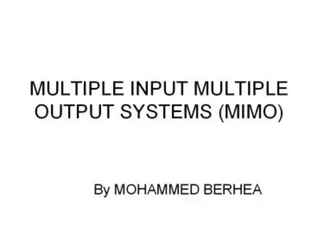 Masked Input Output : 屏蔽输入输出