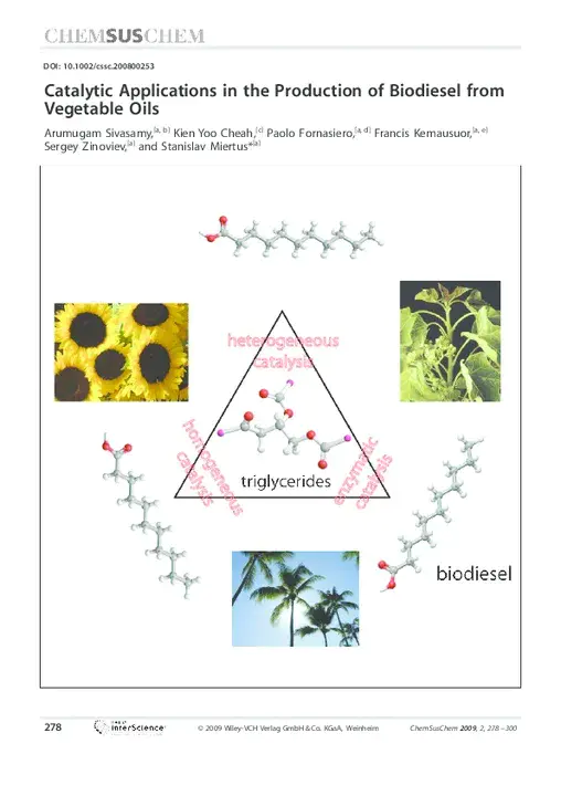 Miertus Scrocco Tomasi : 米耶图斯·斯克罗科·托马西